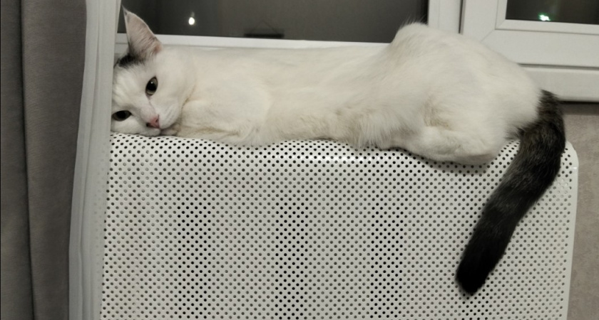 Газ больше не в почете - вот чем отапливают дом ушлые хозяева: 3 отличных варианта