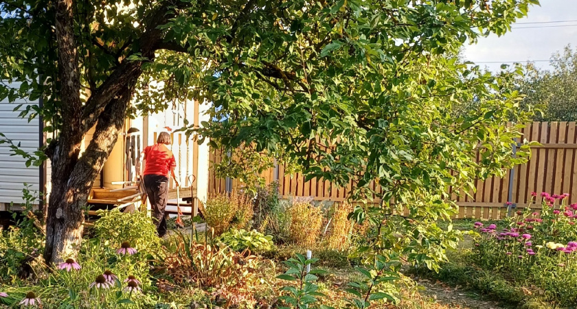 Супер-способ для ленивых: заменил осеннюю перекопку на простые действия. Результат — урожайность выше на 70%