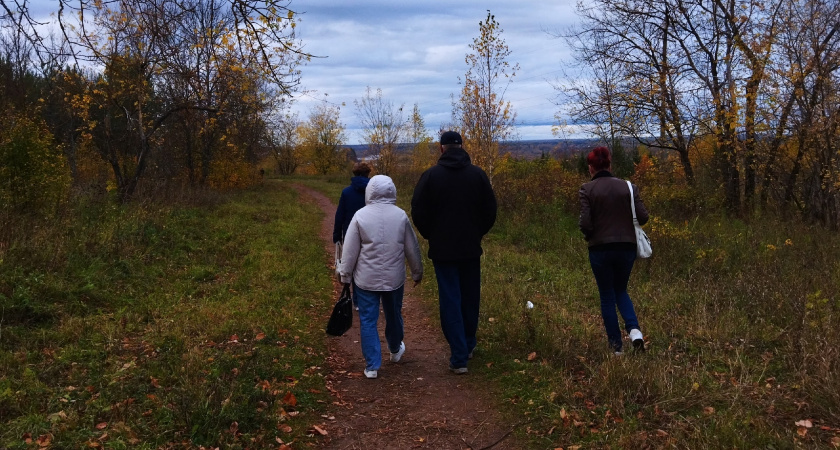 Из Кировской области отправили 63 тысячи кубометров березовой фанеры в Китай