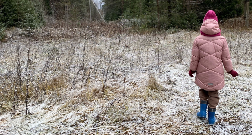 Стало известно, какой будет погода в ноябре в Кировской области