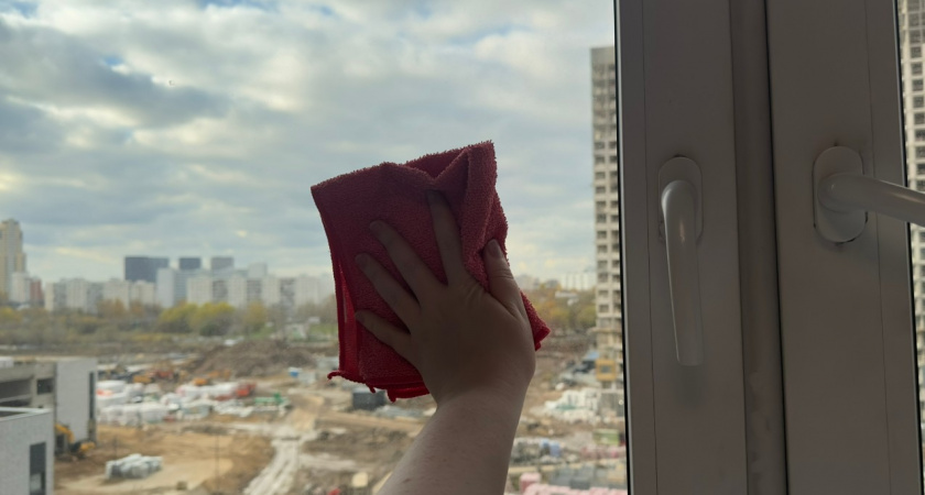 Не чай и не нашатырь: мою окна до блеска без всяких разводов - нужно 1 копеечное средство и туалетная бумага