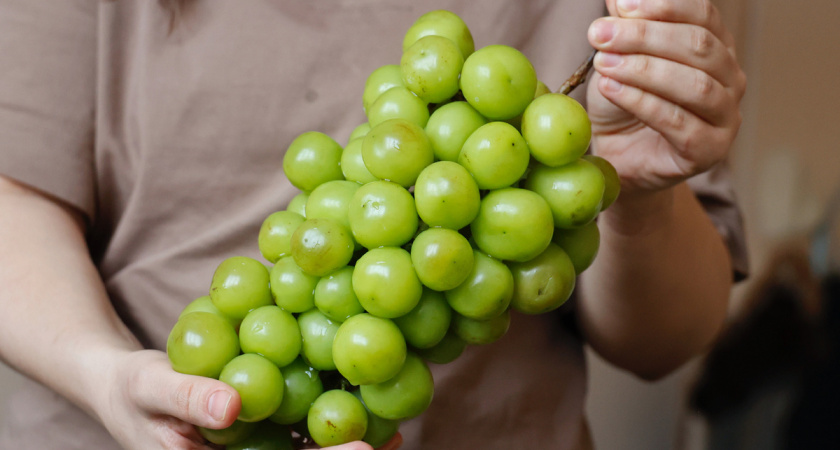 Шайн Мускат на каждом углу: стоит ли переплачивать за виноград размером с яблоко