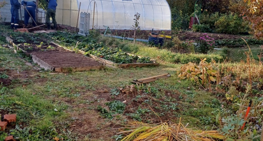 Не сидераты и не навоз: 3 действия в теплице осенью - и сами обзавидуетесь своему урожаю