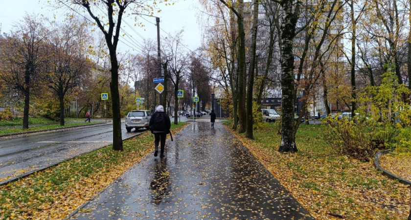 Этот человек обязательно вас предаст: 1 признак, о котором не принято говорить слух