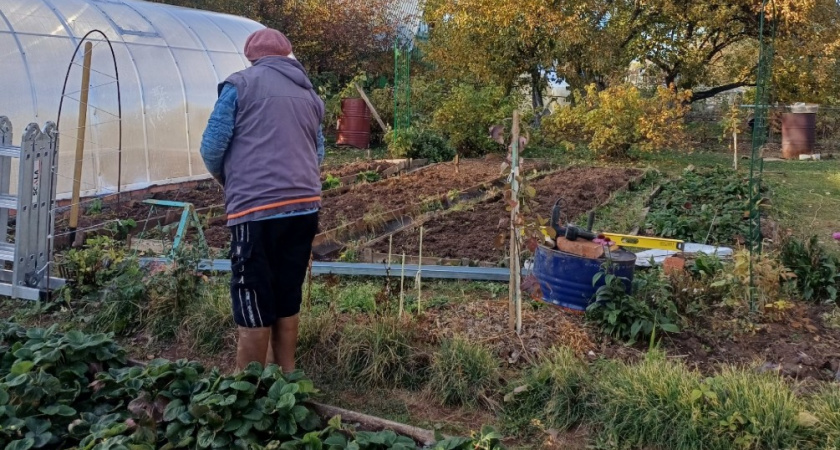 4 действия осенью - и весной начинаю дачный сезон без проблем. Об этом должен знать каждый огородник