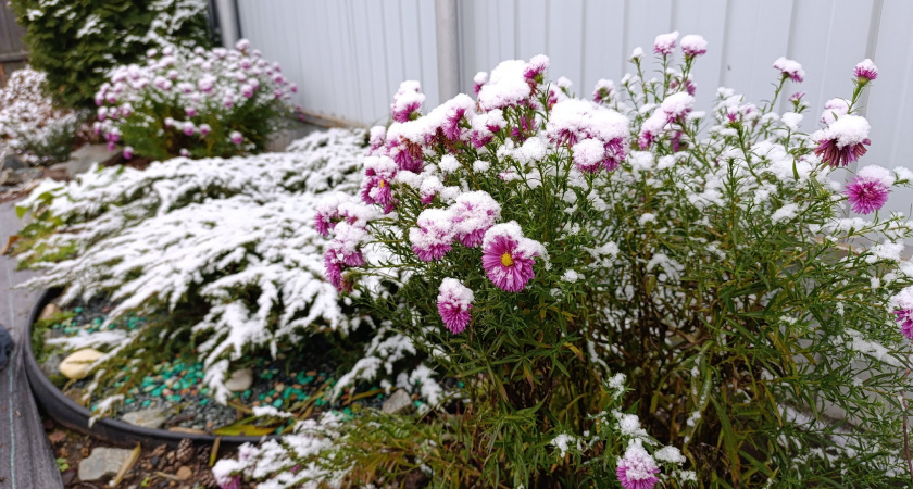 Облачный фронт со снегопадами окутал Кировскую область