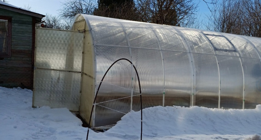 Никогда не закрываю теплицу на зиму - и живу припеваючи: весной земля мягче облачка 