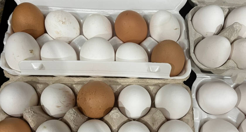 Больше никогда не куплю домашние яйца - и вот почему. Сравнила их с магазинными и ахнула