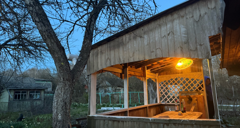 Осень на участке: стоит ли удалять оставшиеся листья с деревьев — научный подход к санитарной обрезке