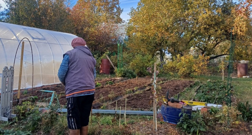 Один стакан заменит 17 кг навоза: раскидала в ноябре и весной земля лучше чернозема - умные дачники так и делают