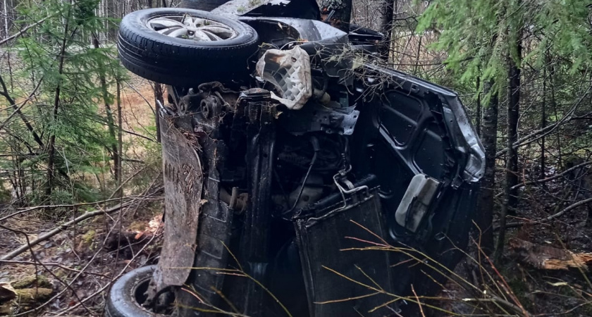 Двое пострадали в жестком столкновении иномарки с деревом в Афанасьевском округе