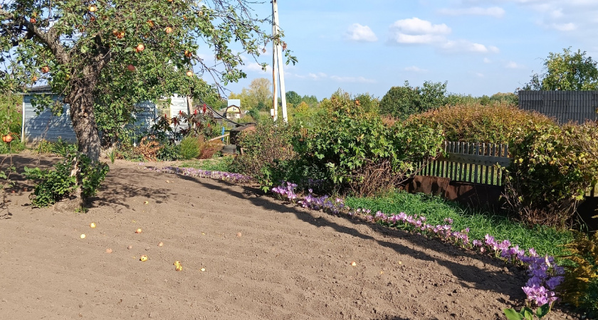 Осенняя подготовка почвы: пять критических ошибок, которые могут лишить вас урожая весной