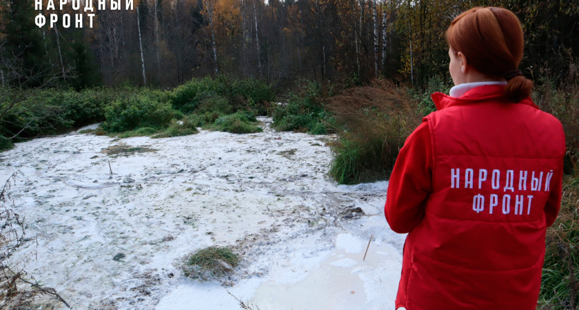 Опасные примеси обнаружены в "кисломолочном" болоте Котельничского района