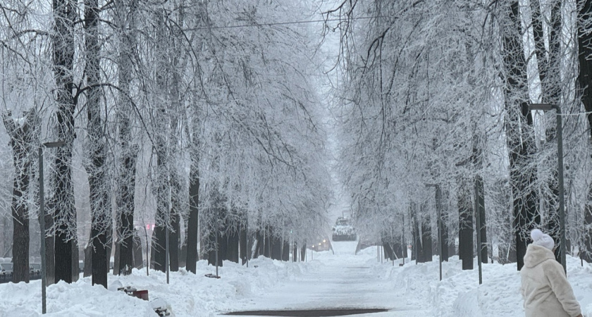 Лютые зимы России: какие годы вошли в историю как самые морозные и почему