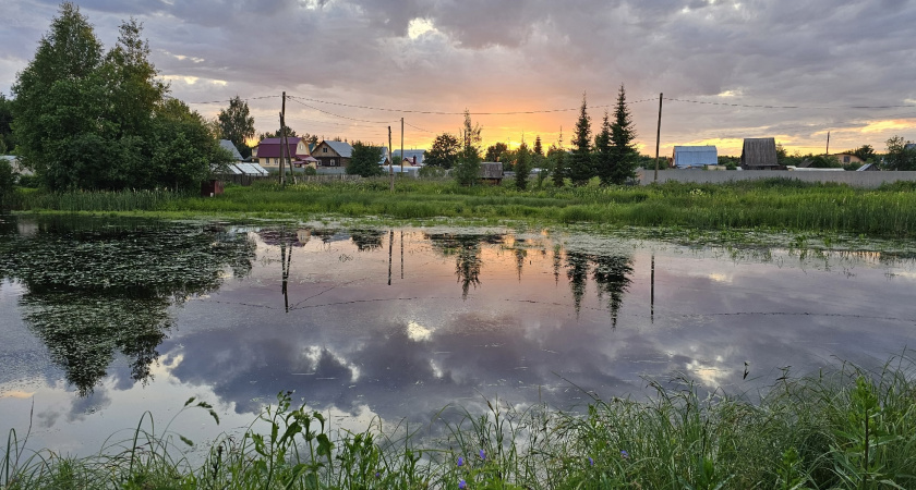 Что сделать в саду и огороде до конца ноября: сезонные работы для здорового урожая следующего года