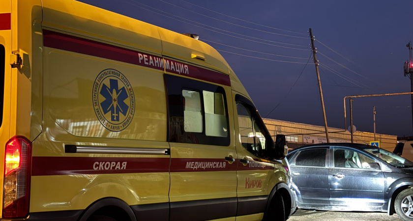 В Котельниче собаковод заплатит девочке, получившей шрам на лице из-за укуса пса