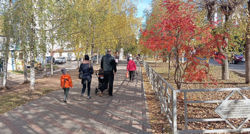 В Кировской области пособие выплатили 57 семьям, принявшим на воспитание детей