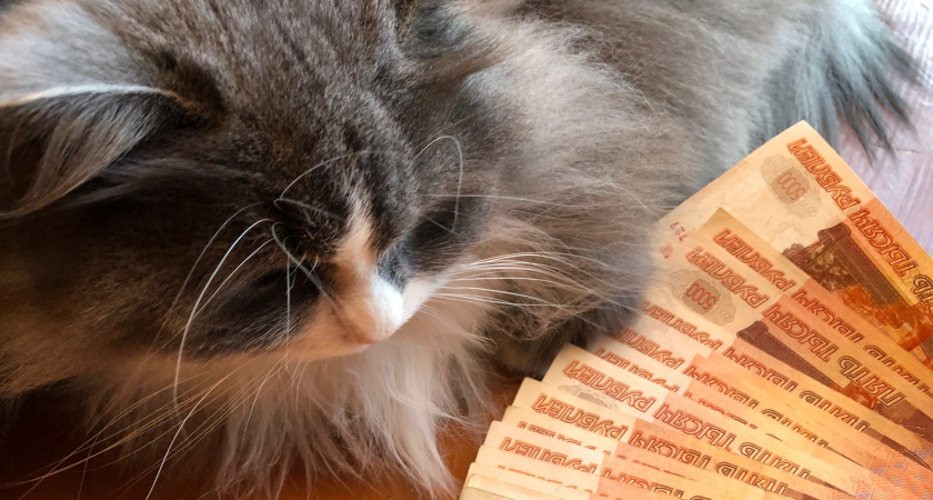 Кошельки лопнут от купюр: Тамара Глоба предрекла денежную удачу трем знакам зодиака с 15 ноября