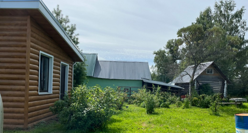 97 лет назад садоводы запрещали, а мы сажаем и радуемся: 7 опасных деревьев, которые ни в коем случае нельзя высаживать в саду