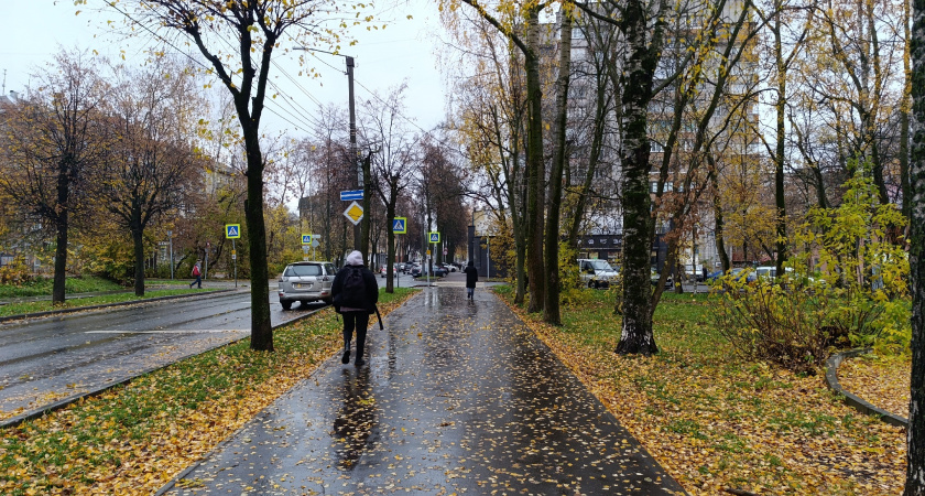 Умный и еще умнее: группа крови, носители которой отличаются самым высоким интеллектом