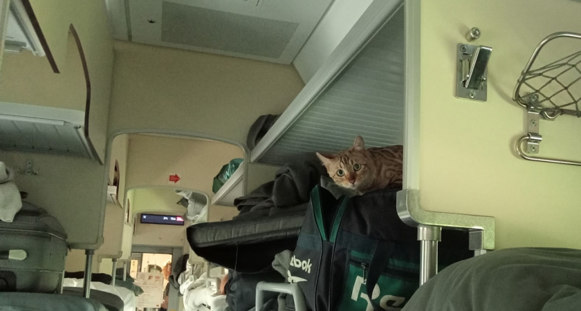 Когда скромность становится трагедией: почему пожилые пассажиры на верхних полках трогают до глубины души