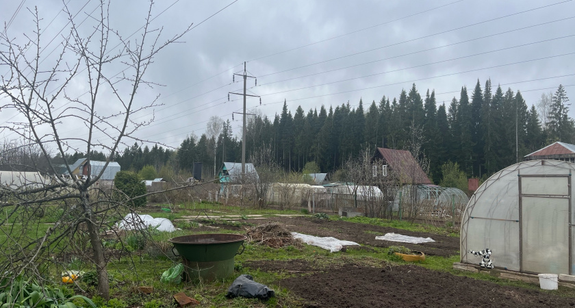 Осенью важно не просто убрать урожай, а подготовить почву к следующему сезону: как и чем удобрять даже под снегом