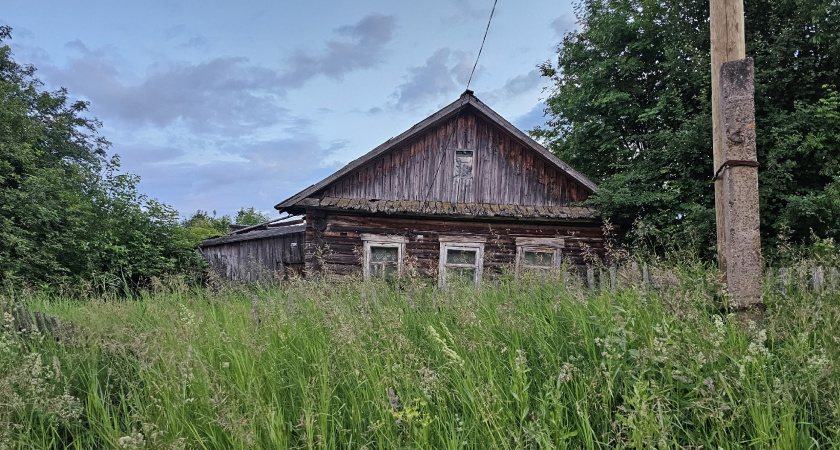 Скупили даже развалюхи: почему городские бегут в деревню и быстро разочаровываются — "привет" бесконечным расходам и работе без выходных