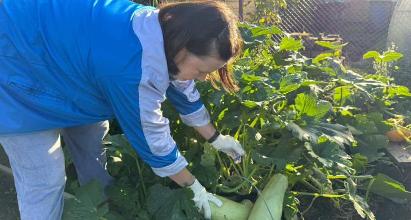 5 "скандальных" дачных хитростей, которые превратят труд на участке в удовольствие - теперь и соседи так делают