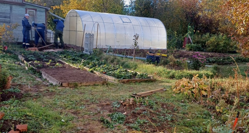 Весной соседи бегают и удобряют почву, а у меня все готово с ноября - 4 вида подкормок: даже покупать ничего не надо