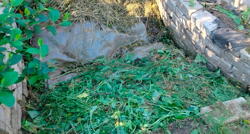 Перестал ждать компост годами: 5 секретов, как я превращаю отходы в чернозем за один сезон