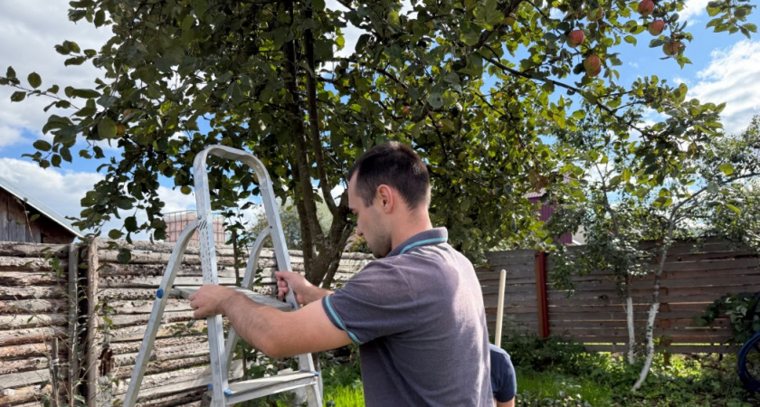 3 лучших сорта яблонь - полные универсалы: заменят все остальные