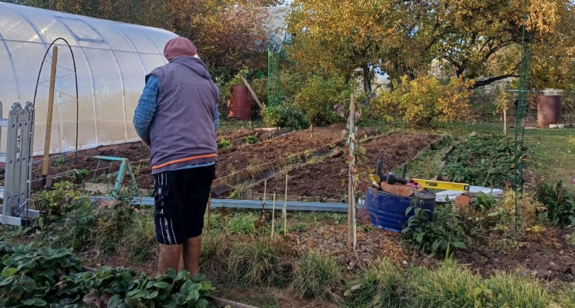 Эти 7 растений никогда больше не посажу - оккупировали дачу за 1 год. Никому не посоветую