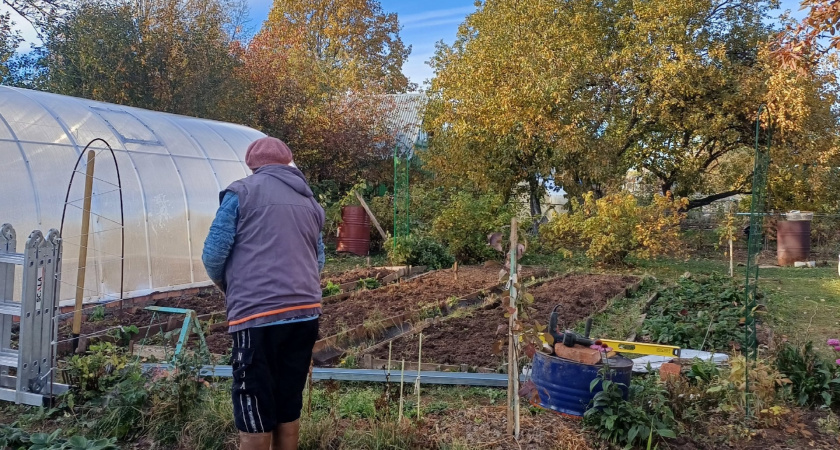 Забудьте о парше и гнили: простая осенняя обработка, после которой деревья уходят в зиму неуязвимыми