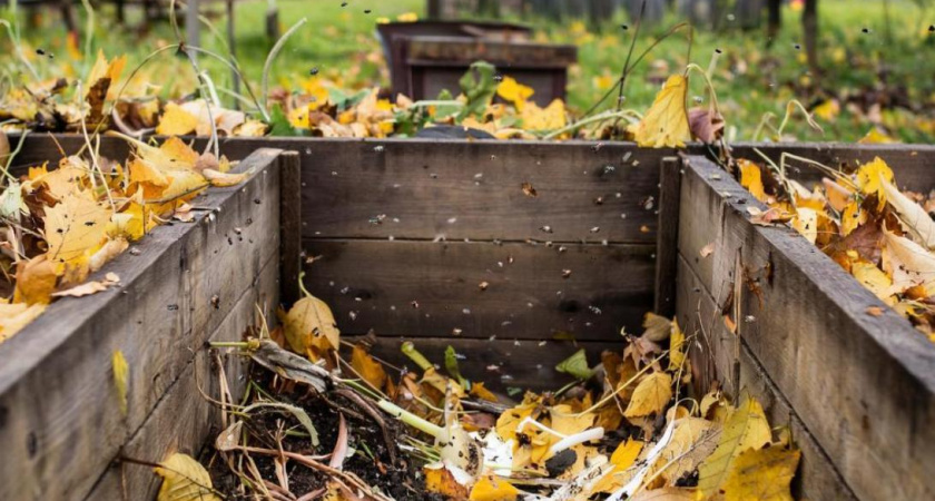 Работает даже в мороз: эта смесь заставит ваш компост «гореть». Результат виден весной