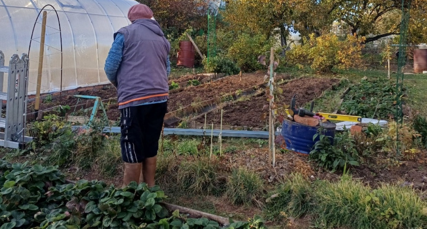 Поверила и сгубила все посадки: 9 вредных народных советов, которые убивают растения быстрее вредителей - никогда не делайте