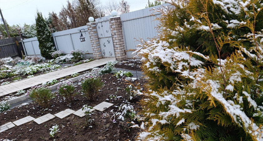 Пока соседи ждут тепла, умные дачники сыплют по снегу свой главный козырь — работает без промаха