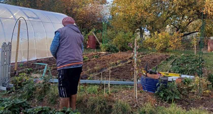 Огурцы и помидоры больше не в почете: вот что реально сажают дачники для заработка - 8 культур