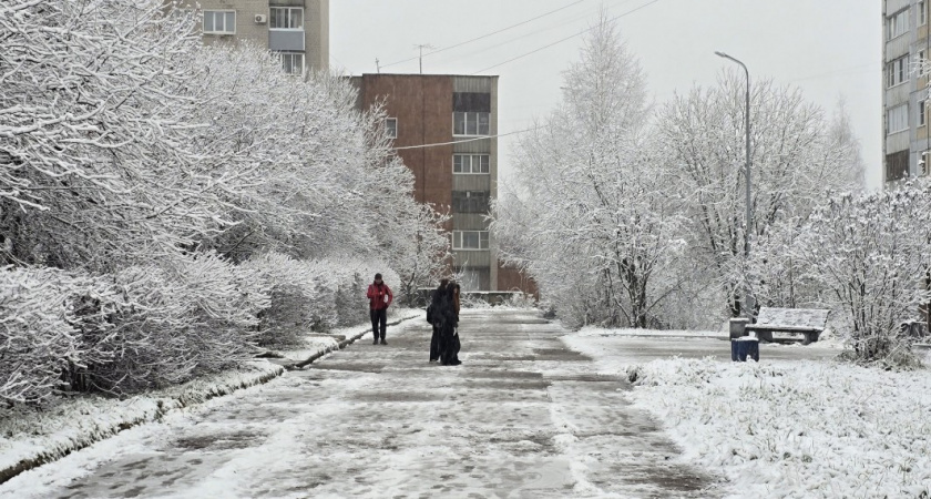 Когда захотите помочь человеку - вспомните мудрость Льва Толстого: гениальные слова писателя