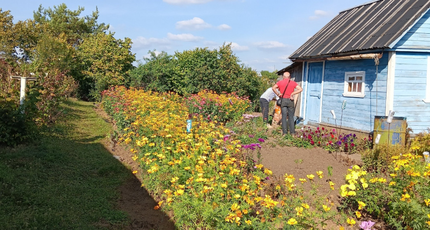 Садоводство без ритуалов: почему бывалые советы не всегда работают в реальности
