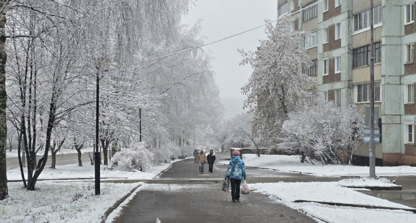 Чтобы вас уважали, никогда не делайте 3 вещи: эту арабскую мудрость запомните раз и на всю жизнь