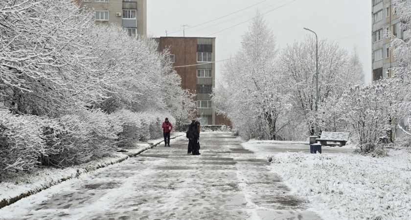 Не жизнь, а болото - 4 привычки, которые губят душу и самооценку: есть у каждой второй женщины