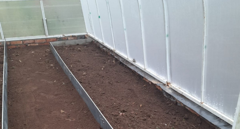 Избавилась от кротов в два счета - нашла классный метод. На моем участке они теперь и носа не показывают 