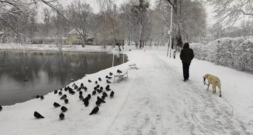 9 безграмотных фраз, от которых лучше отказаться: так говорят только деревенщины