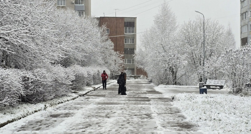 Посыпала этим подошву - и теперь спокойно хожу даже по голому льду: обувь цепляется за землю, как шипы