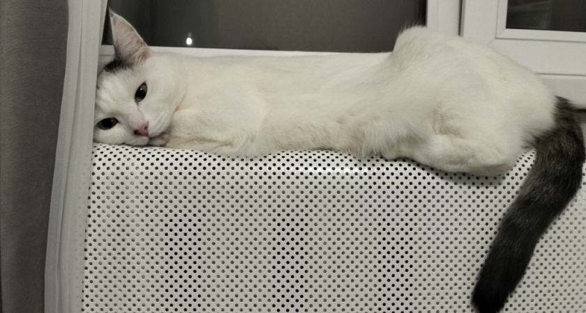 Сколько батарей должно быть в комнате - запомните раз и навсегда