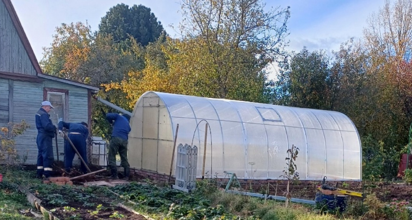 Надоело откачивать выгребную яму - нашел отличный метод: никаких "народных" способов - современная хитрость
