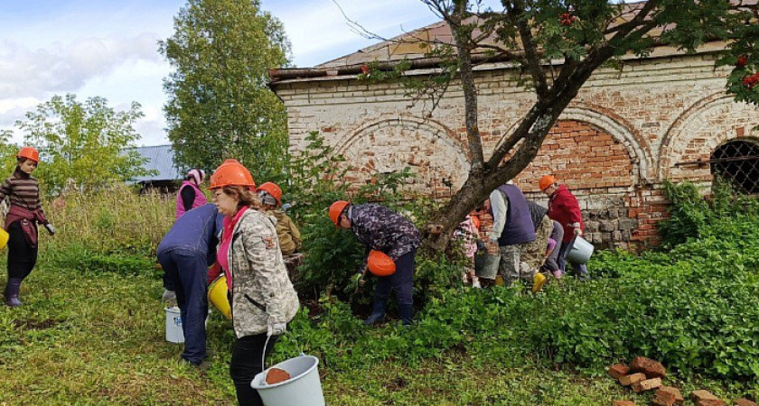 Жители Кировской области посадили семь тысяч деревьев и кустарников
