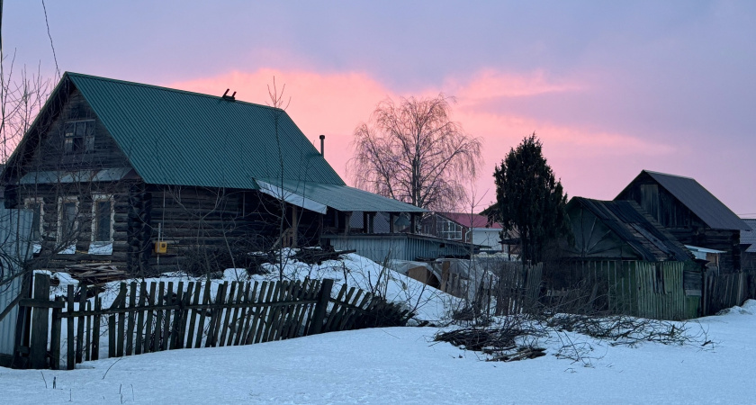 Сухие листья превращаются в удобрение в 3 раза быстрее: простые приёмы, о которых опытные дачники молчат