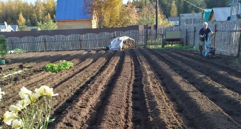 Кировская область экспортировала более 16 тысяч кубометров торфа в Китай