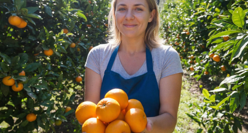 Заработала на сборе хурмы и мандаринов: удалось ли хоть что-то заработать – честный отзыв россиянки